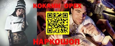крисы Славгород