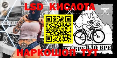 крисы Славгород
