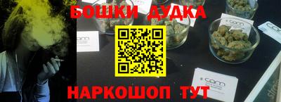 крисы Славгород