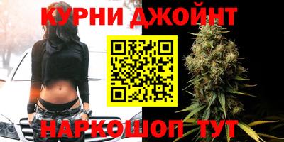 крисы Славгород
