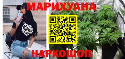 крисы Славгород