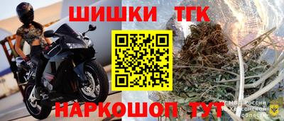 крисы Славгород