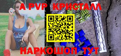 крисы Славгород