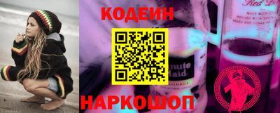 крисы Славгород