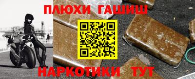 крисы Славгород